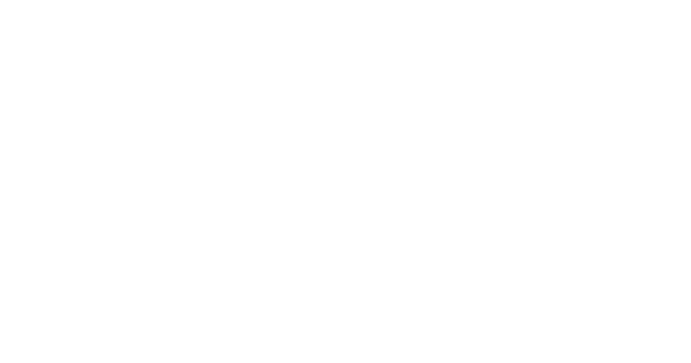 FINO sveže domače testenine, proizvodnja ročno delanih testenin za restavracije.