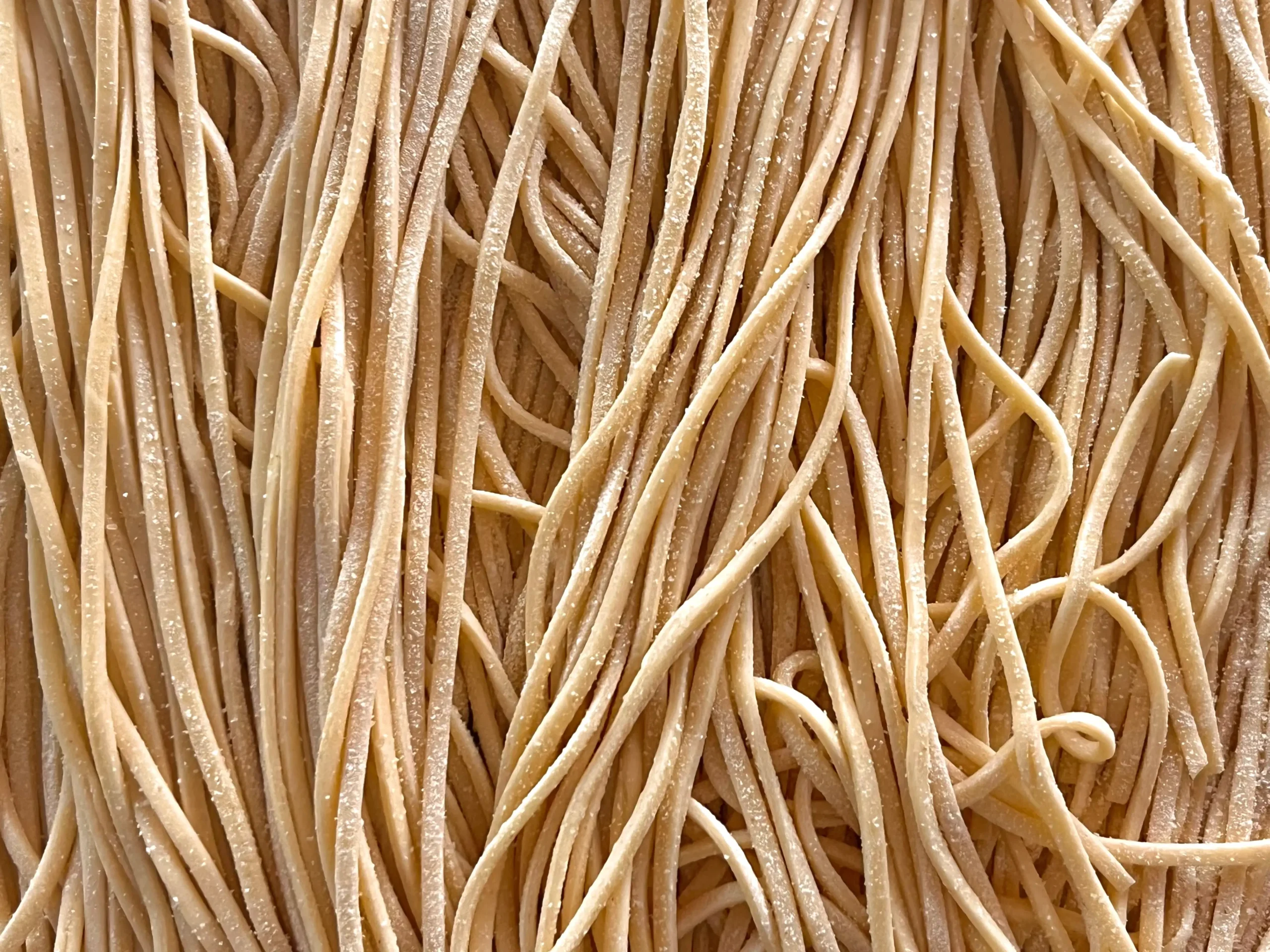 Sveži domači ročno izdelani tanki rezanci ali špageti.